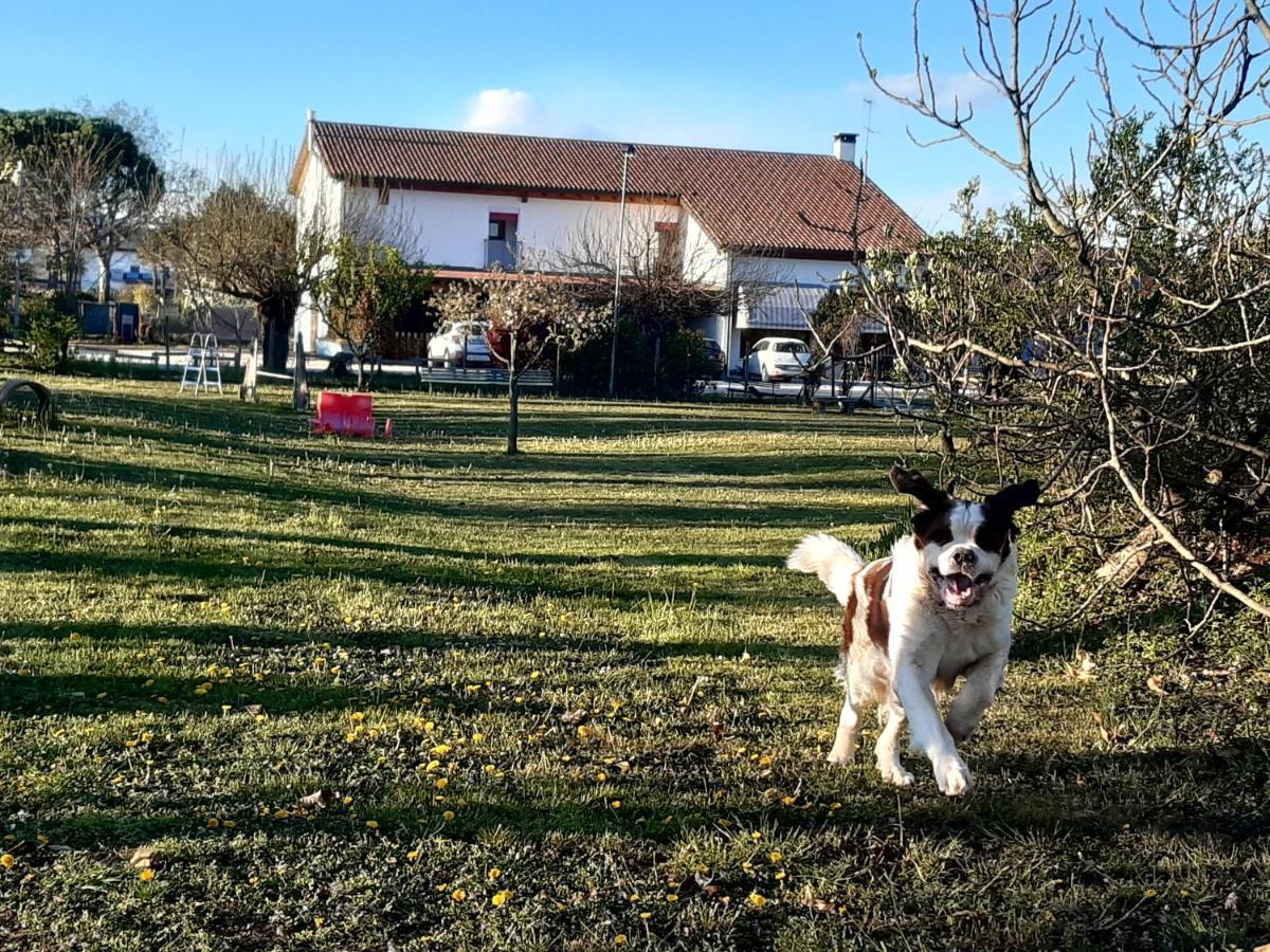 Agriturismo il Podere - Vedelago - Treviso Esterno foto